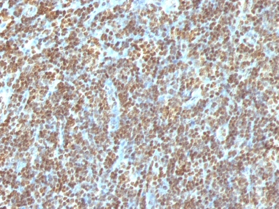 enquire bioreagents